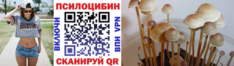 Купить где Костомукша Псилоцибиновые грибы ЛСД