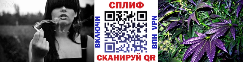 Купить где  Костомукша  МАРИХУАНА SATIVA & INDICA 